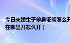 今日未婚生子单身证明怎么开（单身未婚证明开不了怎么办在哪里开怎么开）