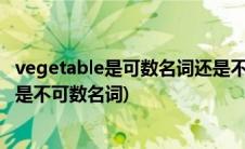 vegetable是可数名词还是不可数(vegetable是可数名词还是不可数名词)