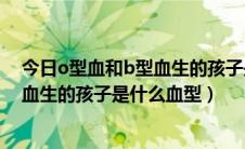 今日o型血和b型血生的孩子是什么血型性格（o型血和b型血生的孩子是什么血型）