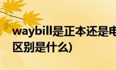 waybill是正本还是电放(电放跟WAYBILL的区别是什么)