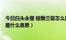 今日白头永偕 桂馥兰馨怎么用来祝福（白头永偕 桂馥兰馨 是什么意思）