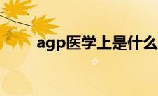 agp医学上是什么意思（agp插槽）