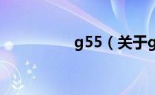 g55（关于g55的介绍）