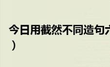 今日用截然不同造句六年级（用截然不同造句）