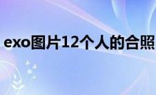 exo图片12个人的合照(exo图片12个人照片)