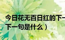 今日花无百日红的下一句什么（花无百日红的下一句是什么）