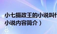 小七摄政王的小说叫什么名字（小七摄政王的小说内容简介）