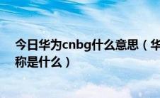 今日华为cnbg什么意思（华为的运营商业务CNBG英文全称是什么）