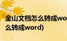 金山文档怎么转成word在手机上(金山文档怎么转成word)