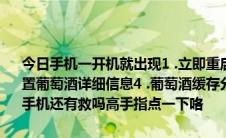 今日手机一开机就出现1 .立即重启系统2 .应用来自sdcard的更新3 .重置葡萄酒详细信息4 .葡萄酒缓存分区5 .测试雷德本德fota  .请问一下我手机还有救吗高手指点一下咯