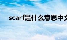 scarf是什么意思中文（scarf什么意思）