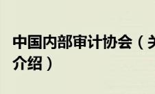 中国内部审计协会（关于中国内部审计协会的介绍）