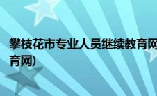 攀枝花市专业人员继续教育网官网(攀枝花市专业人员继续教育网)