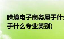 跨境电子商务属于什么专业类别(电子商务属于什么专业类别)