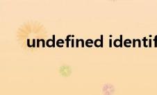 undefined identifier(未定义标识符)