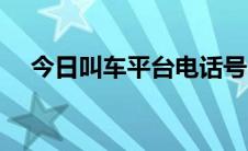 今日叫车平台电话号（叫车平台有哪些）