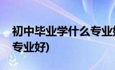 初中毕业学什么专业好就业(初中毕业学什么专业好)