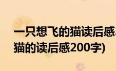 一只想飞的猫读后感300字左右(一只想飞的猫的读后感200字)