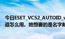 今日ESET_VC52_AUTOID_v1.7.7.6我下载了这个但是不知道怎么用。她想要的是名字邮箱和激活码。