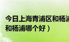 今日上海青浦区和杨浦哪个好点（上海青浦区和杨浦哪个好）