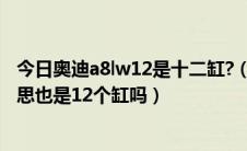 今日奥迪a8lw12是十二缸?（奥迪A8L后面的W12是什么意思也是12个缸吗）