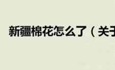 新疆棉花怎么了（关于新疆棉花事件介绍）