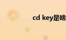 cd key是啥（cd key）