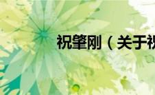 祝肇刚（关于祝肇刚的介绍）