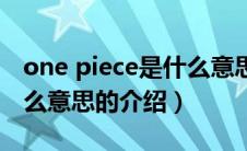 one piece是什么意思（关于one piece是什么意思的介绍）