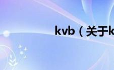 kvb（关于kvb的介绍）