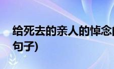 给死去的亲人的悼念的句子(悼念亲人去世的句子)