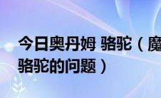 今日奥丹姆 骆驼（魔兽世界关于奥丹姆稀有骆驼的问题）