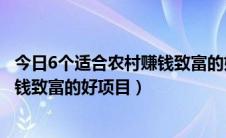 今日6个适合农村赚钱致富的好项目是什么（6个适合农村赚钱致富的好项目）