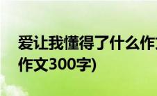 爱让我懂得了什么作文300字(我懂得了什么作文300字)