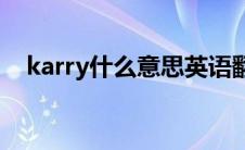 karry什么意思英语翻译(karry什么意思)