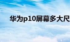 华为p10屏幕多大尺寸（华为p10屏幕）