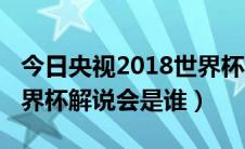 今日央视2018世界杯解说徐阳（央视2018世界杯解说会是谁）