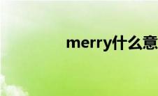 merry什么意思（merry）