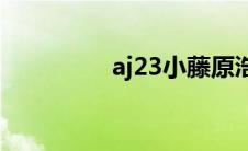 aj23小藤原浩穿搭(aj23)