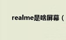 realme是啥屏幕（realme是啥牌子）