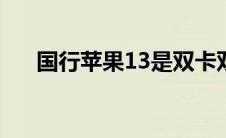 国行苹果13是双卡双待吗（国行苹果）