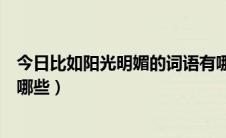 今日比如阳光明媚的词语有哪些（像阳光明媚一样的词语有哪些）