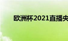 欧洲杯2021直播央视（欧洲杯介绍）