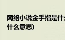 网络小说金手指是什么意思啊(小说金手指是什么意思)