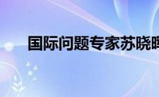 国际问题专家苏晓晖简介（国际问题）