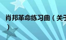 肖邦革命练习曲（关于肖邦革命练习曲的介绍）