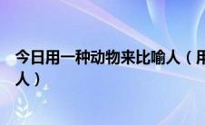 今日用一种动物来比喻人（用某种动物来比喻的此种类型的人）