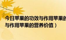 今日苹果的功效与作用苹果的营养价值及禁忌（苹果的功效与作用苹果的营养价值）