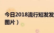 今日2018流行短发发型（2018流行短发发型图片）