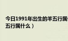 今日1991年出生的羊五行属什么命（1991年的羊是什么命五行属什么）